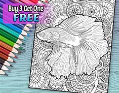 Image result for Beautiful Betta Fish Coloring Pages