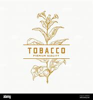 Image result for Logo of Tobacco Leaf