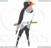 Image result for Perched Bird Drawing