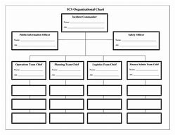 Image result for Blank Organizational Chart Template