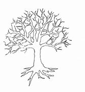 Image result for Tree of Life Blank