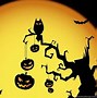 Image result for Halloween Pine Tree