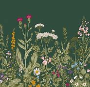 Image result for Wildflower Wall Murals