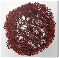 Image result for Red Tree Top View PNG