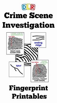 Image result for Forensic Science Worksheets