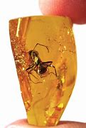 Image result for Different Kinds of Amber