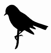 Image result for Cartoon Bird Silhouette