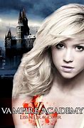 Image result for Vampire Academy Book Series