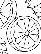 Image result for Orange Coloring Pic