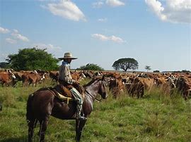 Image result for Garfield Cowboy Gaucho