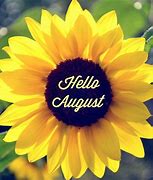 Image result for August Flower Screensaver