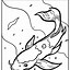 Image result for Detailed Fishing Coloring Pages