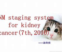 Image result for Men vs Women Graph Kidney Cancer