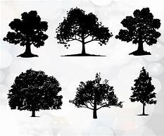 Image result for Tree Silhouette SVG