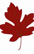 Image result for Red Maple Leaf Stickers