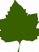 Image result for Leaf Clip Art Transparent Background