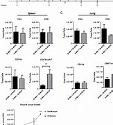 Image result for Intradermal BCG