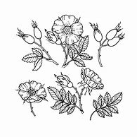 Image result for Girly Flower Outline Decals