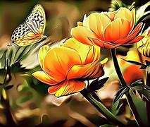 Image result for Orange Abstract Flowers