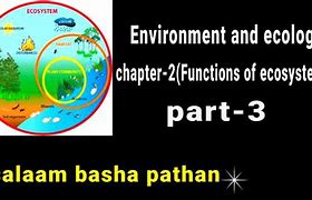 Image result for Environment Varieties Images UPSC