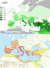 Image result for Roman Empire Social Classes