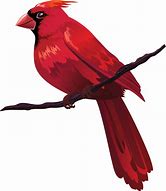 Image result for Bird On Branch Graphic