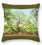 Image result for Angel Oak Tree Clip Art