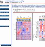 Image result for Interactive Heat Map