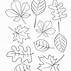 Image result for Printable Leaf Pictures