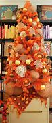 Image result for real christmas tree types