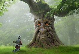 Image result for Wide Mystical Tree