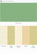 Image result for Raw Umber Paint Color