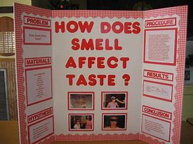 Image result for Science Fair Project Ideas for High School