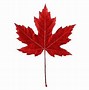 Image result for Leaf Stencil Art