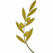 Image result for Olive Branch Transparent Background