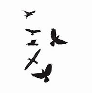 Image result for Cartoon Bird Silhouette