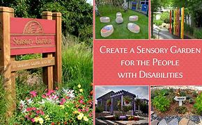 Image result for Sensory Garden for Adults