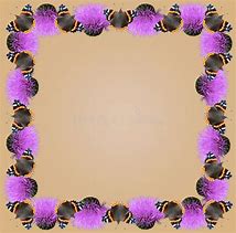 Image result for Butterfly Frame Art