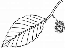 Image result for Free Printable Leaf Coloring Pages