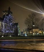 Image result for Halloween Tree Decorations