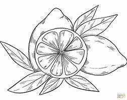 Image result for Lemon Coloring Sheet