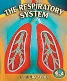 Image result for Respiratory System Mind Map