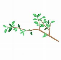 Image result for Branch Illustration