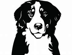 Image result for Bernese Mountain Dog SVG