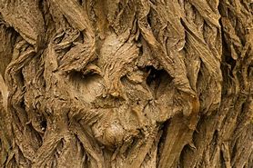 Image result for Generative Ai Face in Tree