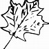 Image result for Maple Tree Leaves Clip Art