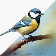 Image result for Drawing of a Bird On a Branch with a Colourful Background