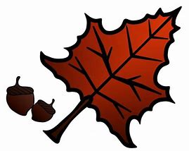 Image result for Leaf Outline Worksheet