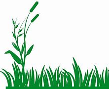 Image result for Grass Border Transparent