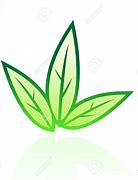 Image result for Rose Leaf Tobacco